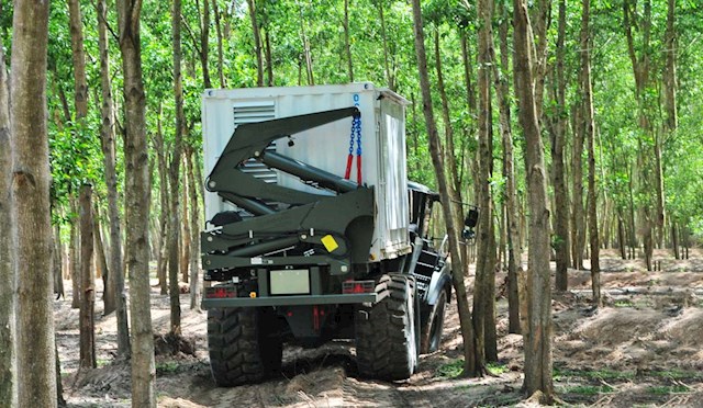 Hammar Terrain Forest